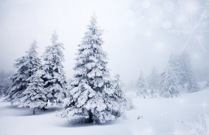 Nous voici parés pour d’hivers Nous voici parés pour d’hivers